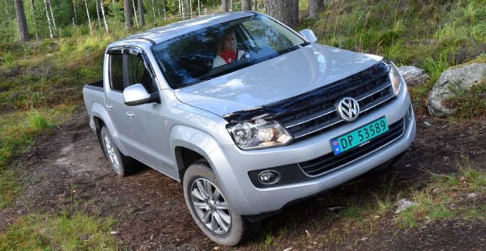 Bildrama i tjukke skogen