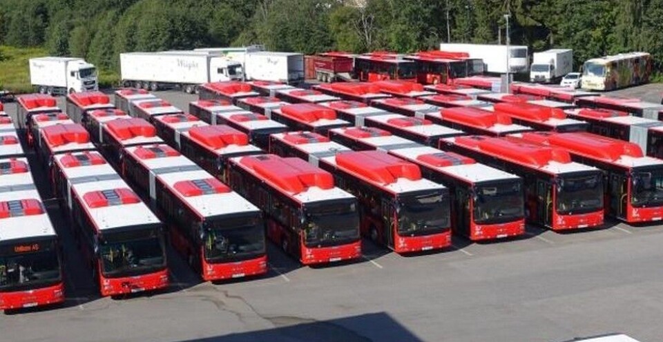 54 nye byløver i Oslo