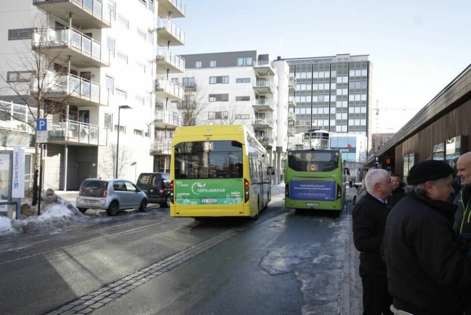 Elektriske busser på rute 51Foto: Brede Høgseth Wardrum