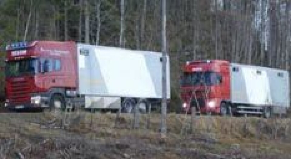 Lastebiltransporten øker fortsatt