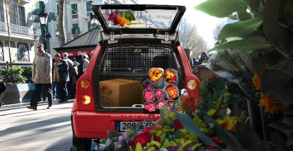 Her er bilder av Think varebil