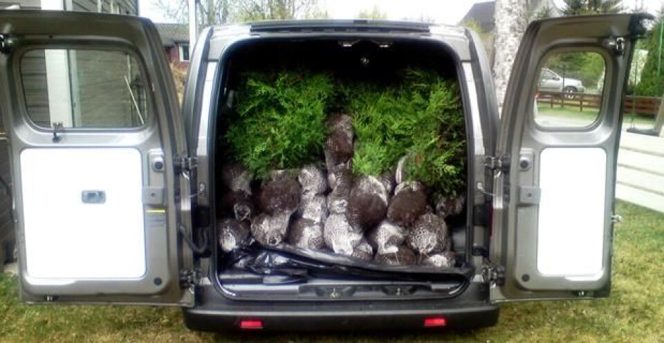 Nissans lille blomsterbil
