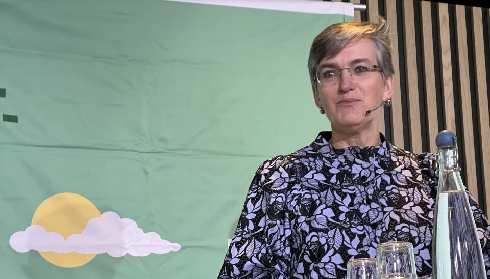 FORSLÅR NYTT MÅL: Ellen Hambro, direktør i Miljødirektoratet.