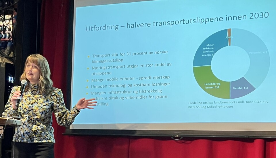 TENKER HELHET: Ingelin Noresjø, programleder Grønt Landtransportprogram.