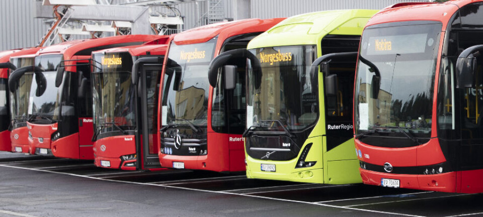 Buseg Tag: buss