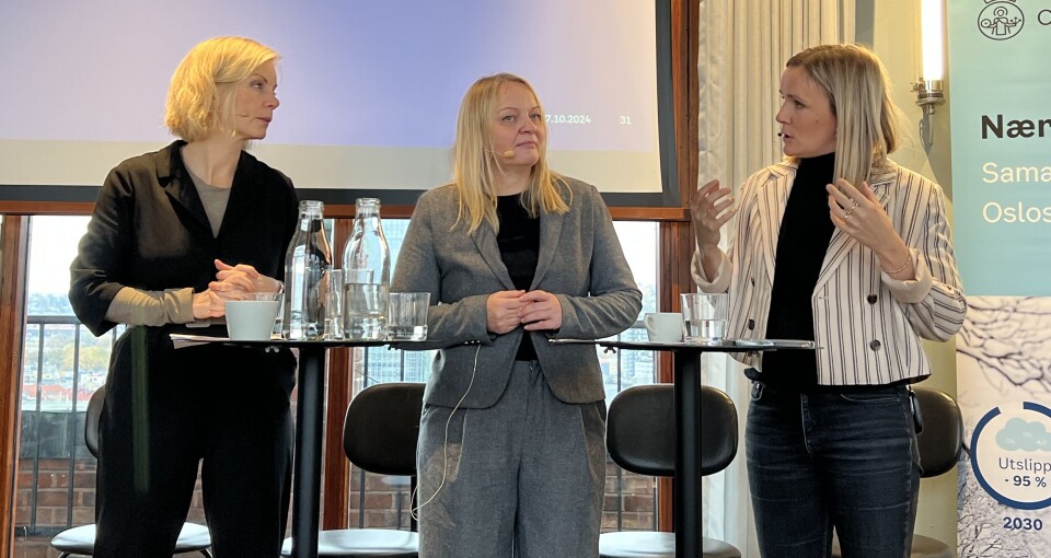 POLITIKERNE SVARTE: Fra venstre: Statssekretær i Klima- og miljødepartementet, Sigrun Gjerløw Aasland (Ap), stortingsrepresentant og medlem i Transport- og kommunikasjonskomiteen, Mona Fagerås (SV), og byråd for miljø og samferdsel i Oslo, Marit Vea (V).