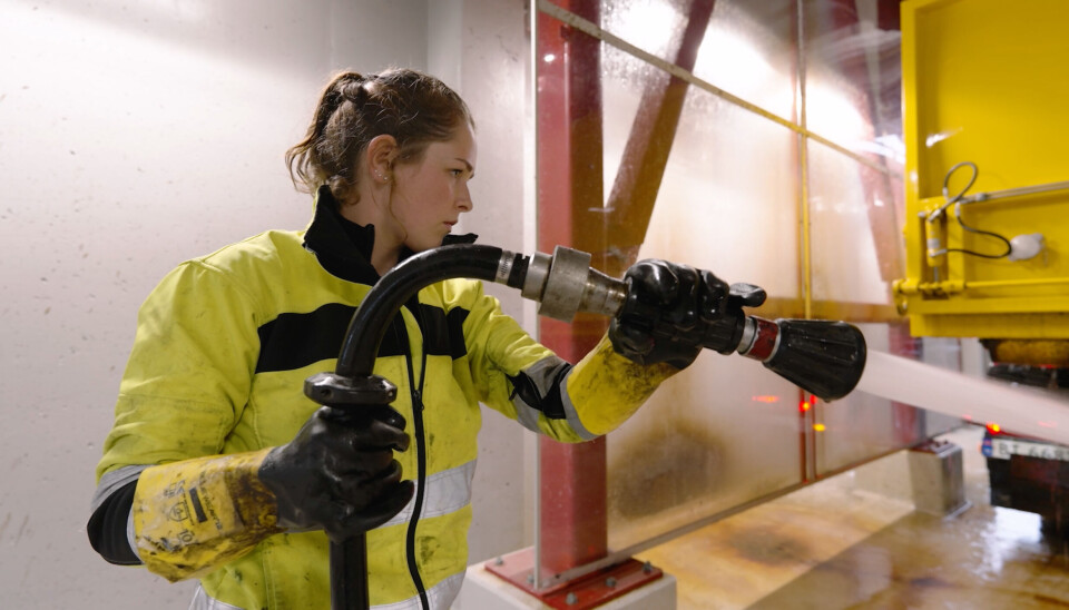 Tiril Thengs er en av de kvinnelige profilene.